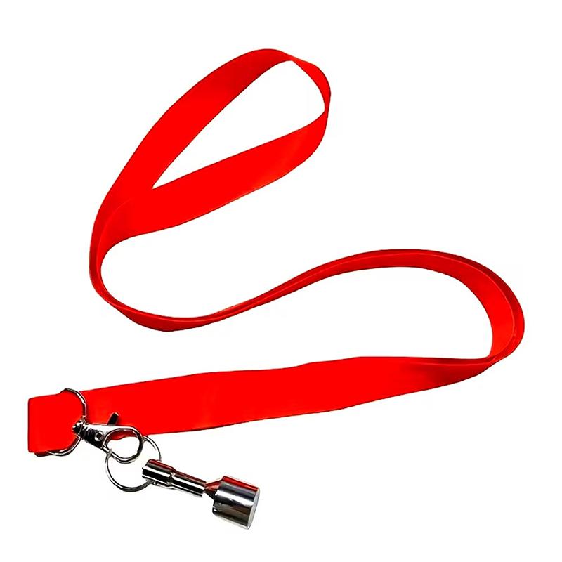 Magnetic Ball Throwing Picker  - Outdoor Sports Activities review and price