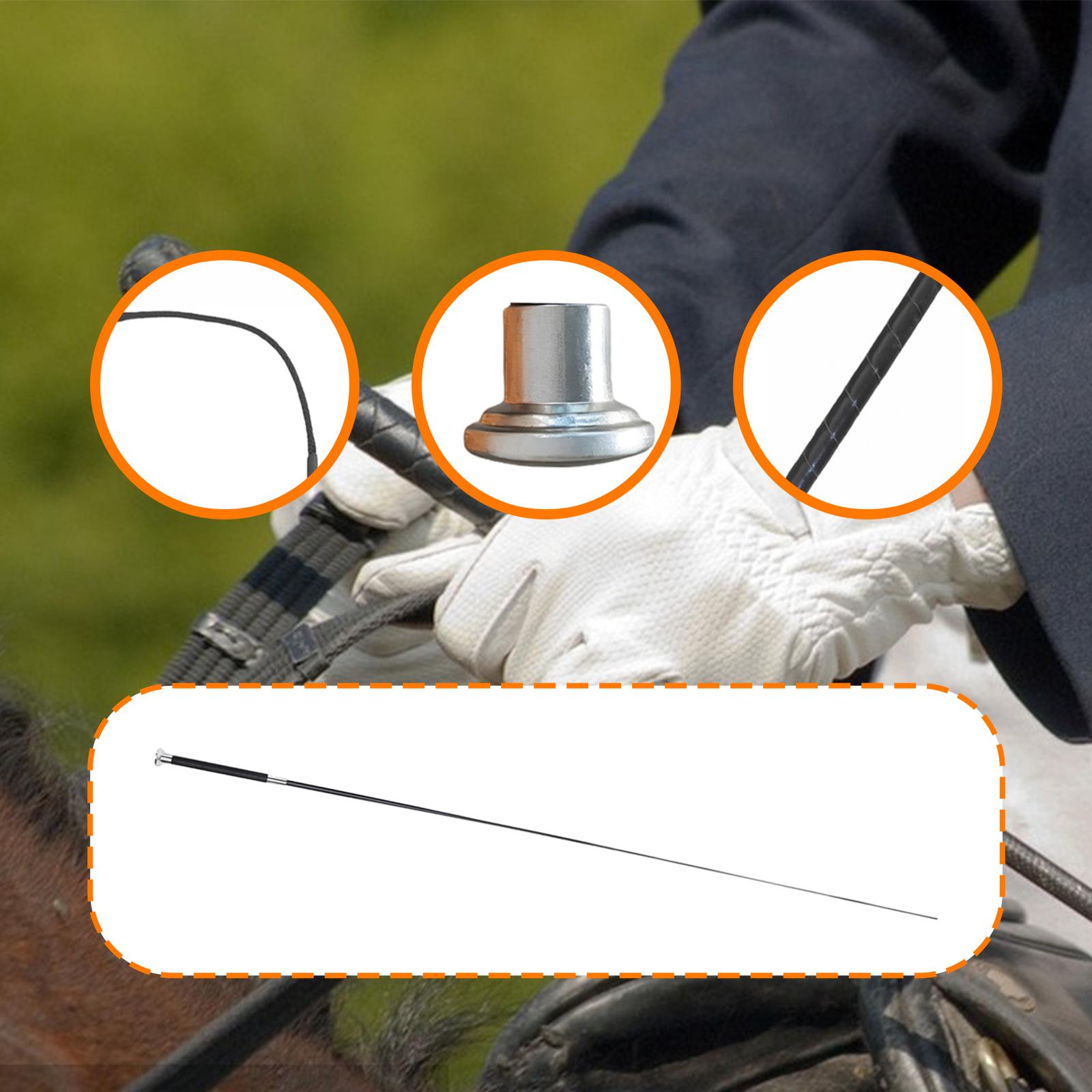 Versatile Riding Crop Metal Ny - Riding Crop Dressage review and price
